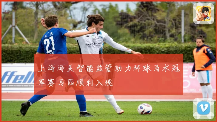 上海海关智能监管助力环球马术冠军赛马匹顺利入境
