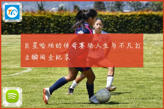 巨星哈珀的传奇赛场人生与不凡打击瞬间全纪录