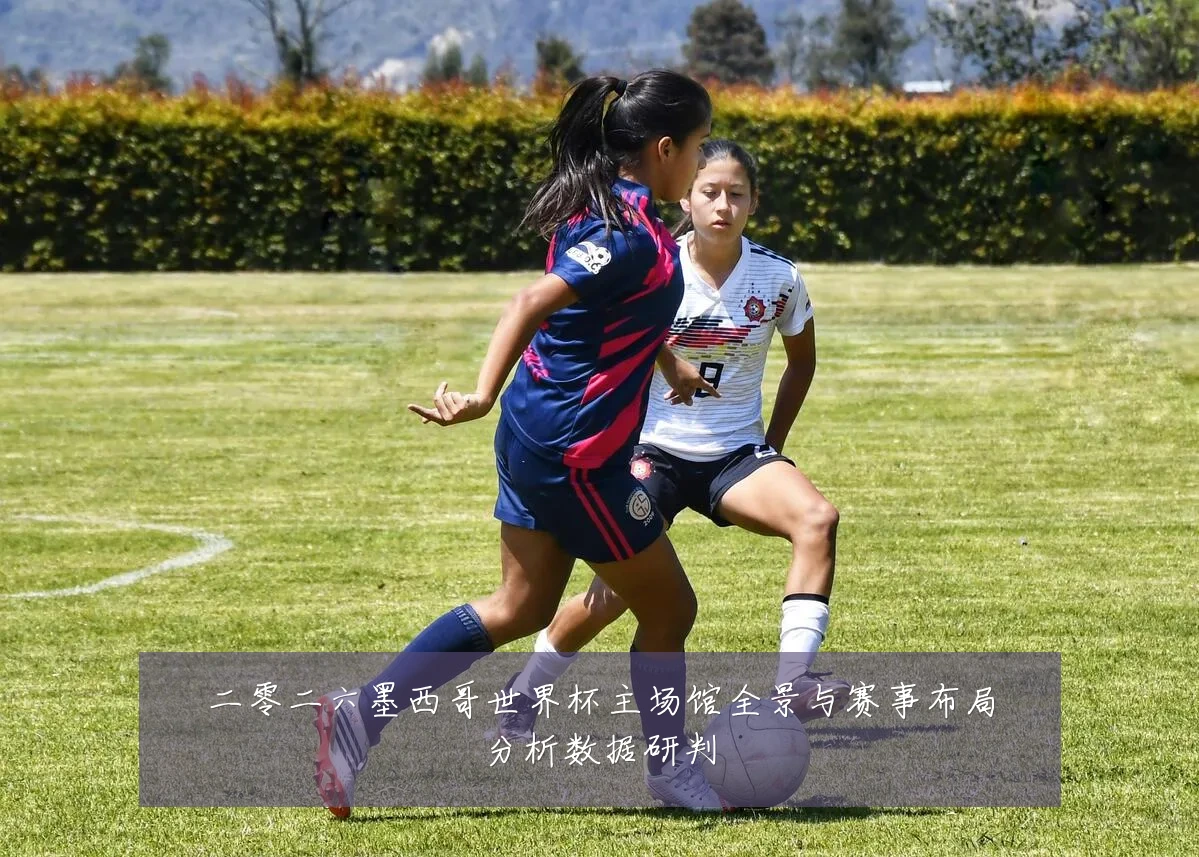 二零二六墨西哥世界杯主场馆全景与赛事布局分析数据研判